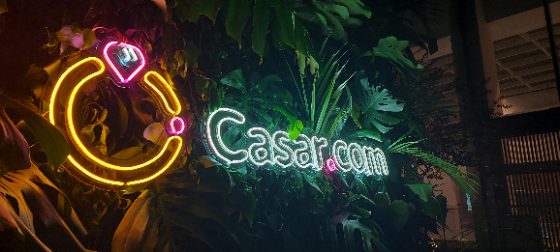 Painel de neon LED para casamento montado em jardim vertical