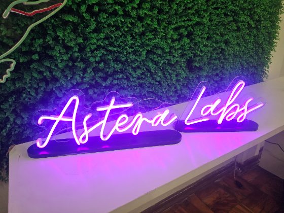 Duas peças de neon LED roxo com base de acrílico em jardim vertical